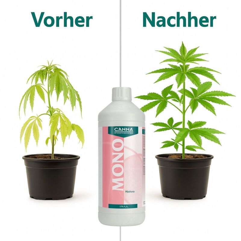 Canna Phosphor 1 Liter – Phosphor Zusatz Pflanzen