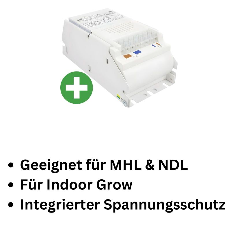 Vorschaltgerät 600 Watt für NDL & MHL
