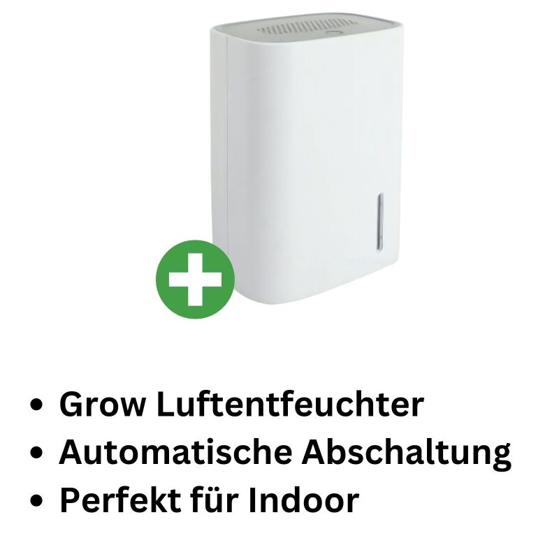 Luftentfeuchter 250 ml pro Tag – Luftentfeuchtung Mini
