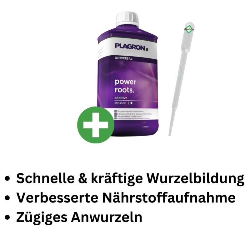 Plagron Power Roots 100 ml – Wurzelstimulator Power