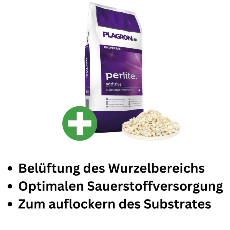 Plagron Perlite 60 Liter