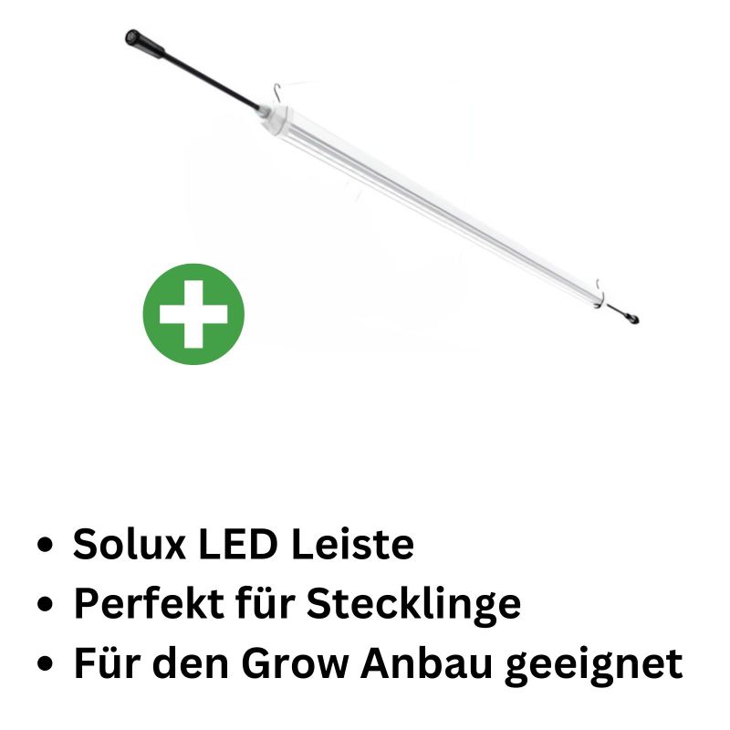 Solux 2x20 Watt LED Wuchs
