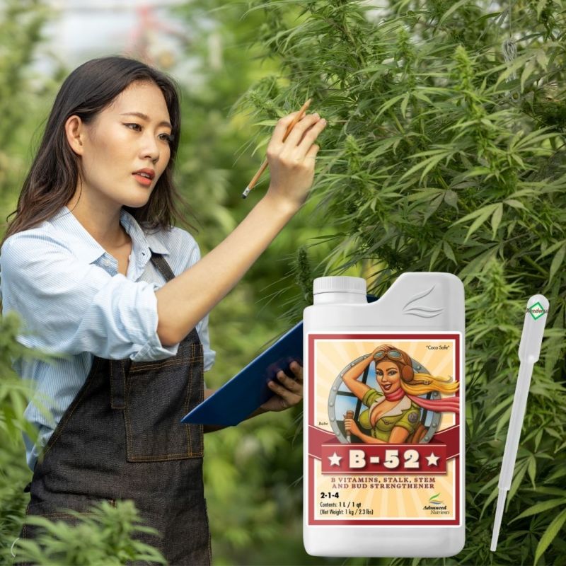 Advanced Nutrients B-52 10 Liter – Vitamin & Amino Boost für Pflanzen