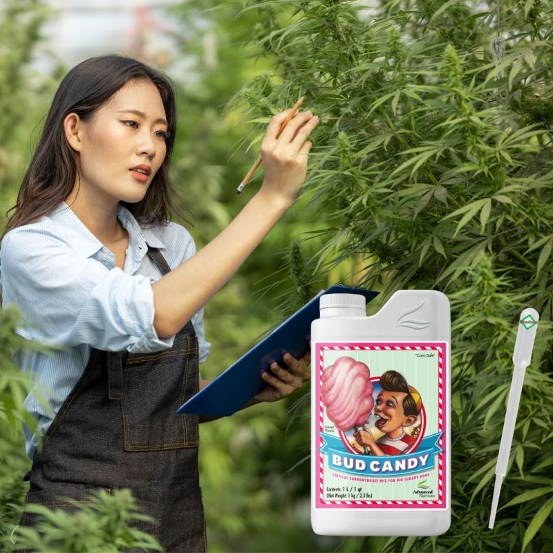 Advanced Nutrients Bud Candy 250 ml – Energiebooster & Zuckerzusatz