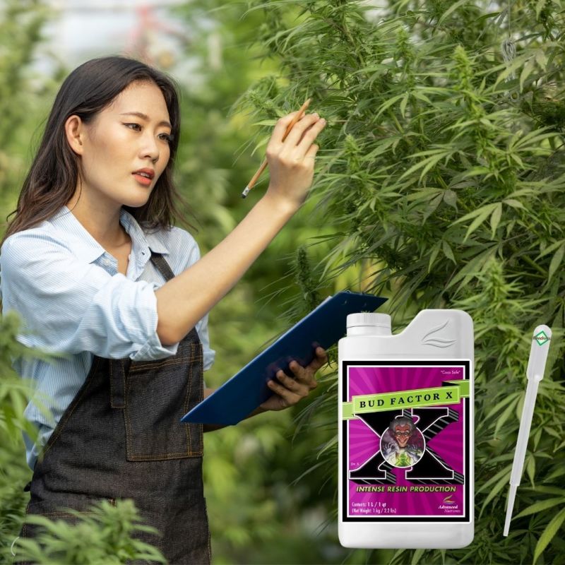 Advanced Nutrients Bud Factor X 250 ml – Harz & Terpen Enhancer