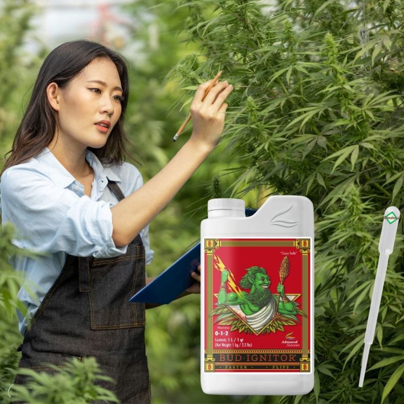 Advanced Nutrients Bud Ignitor 250 ml – Blütestarter & Blütenansatzförderer