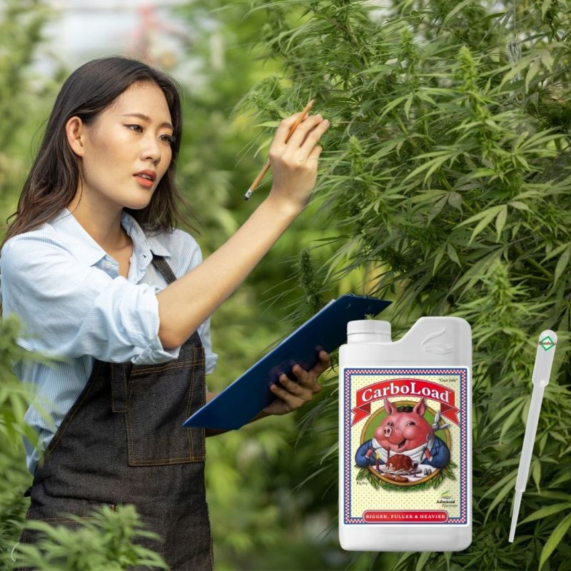 Advanced Nutrients Carboload 250 ml – Kohlenhydrat Blütebooster