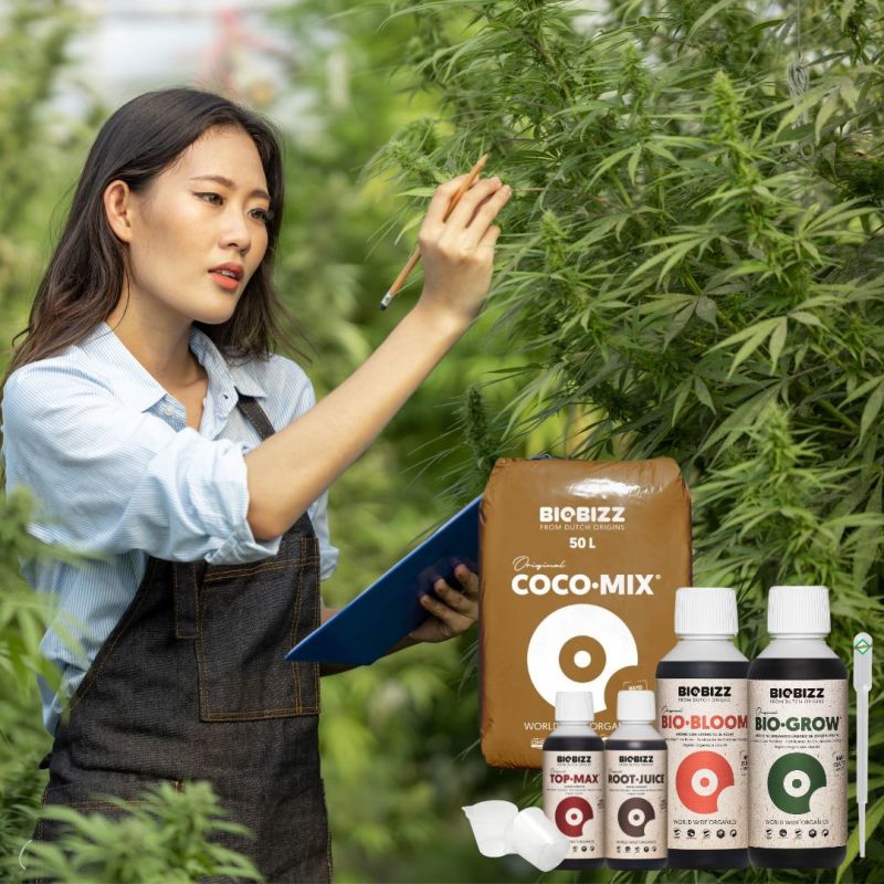 BioBizz Coco Mix Set Medium