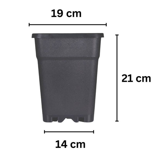 Blumentopf ECKIG 6,5 Liter 19x19x21 cm