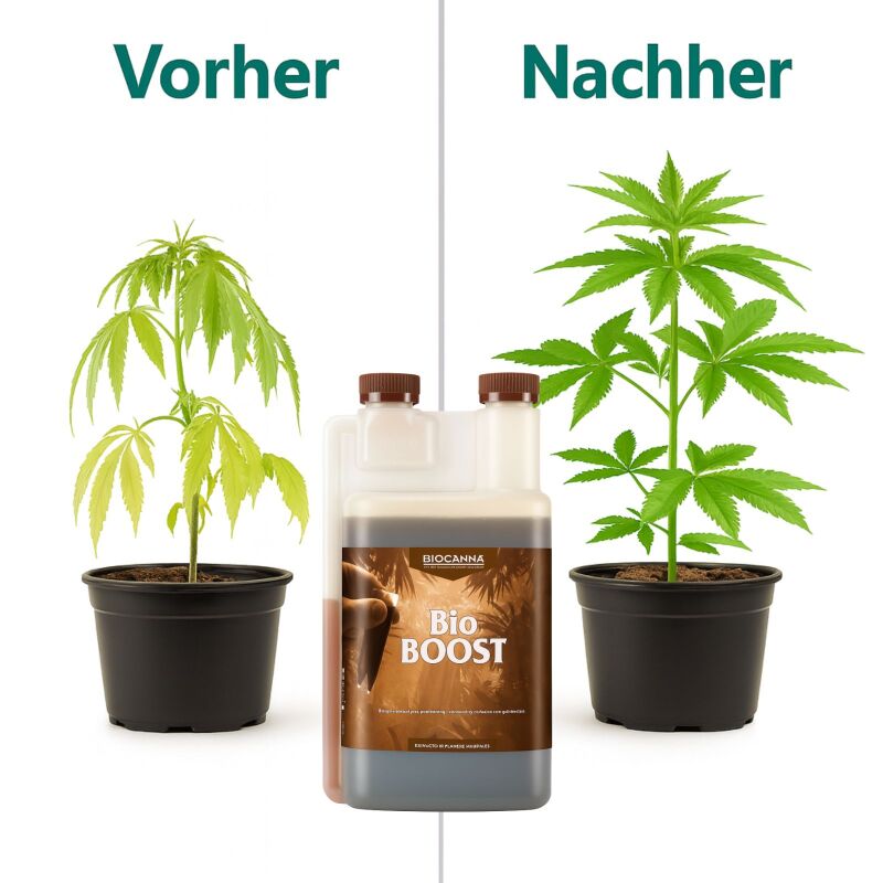 Canna Bio Boost 250 ml – Bio Blütestimulator