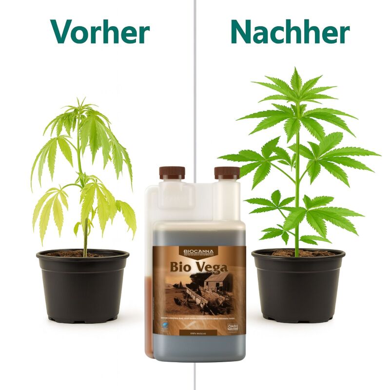 Canna Bio Vega 5 Liter – Bio Wachstumsdünger