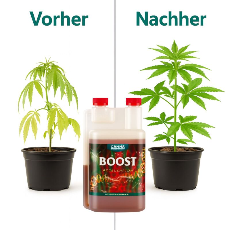 Canna Boost 10 Liter – Blütestimulator XXL