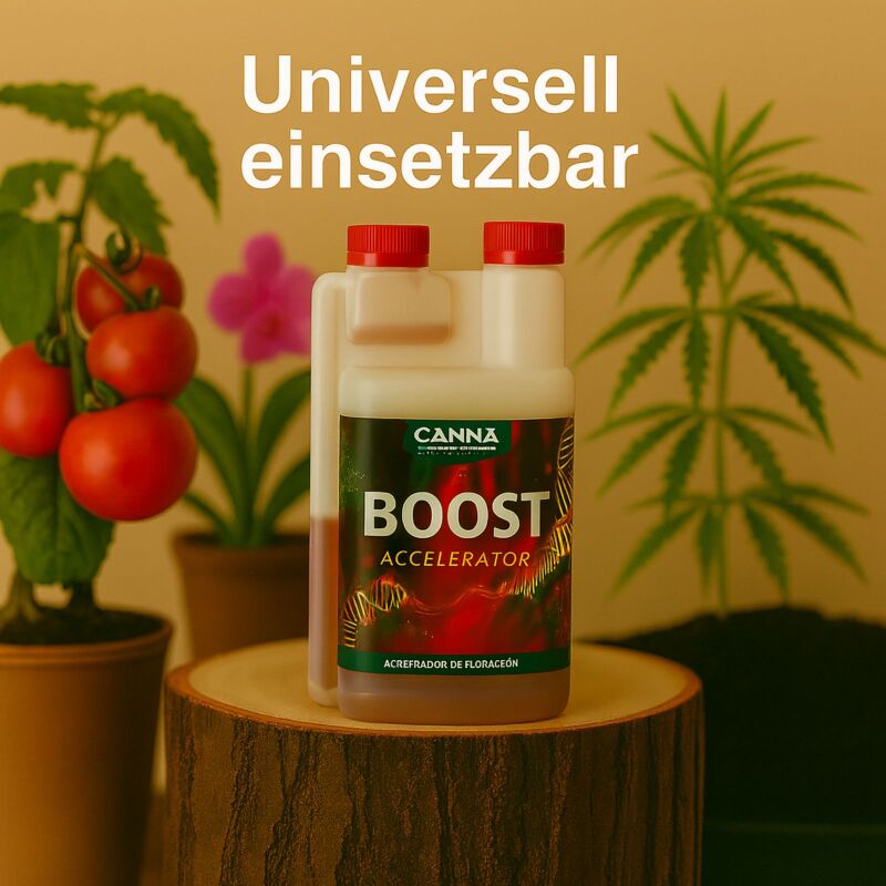 Canna Boost 10 Liter – Blütestimulator XXL