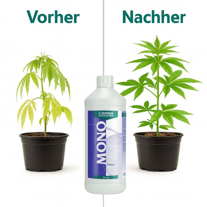 Canna Kalium 1 Liter – Kalium Zusatz Pflanzen