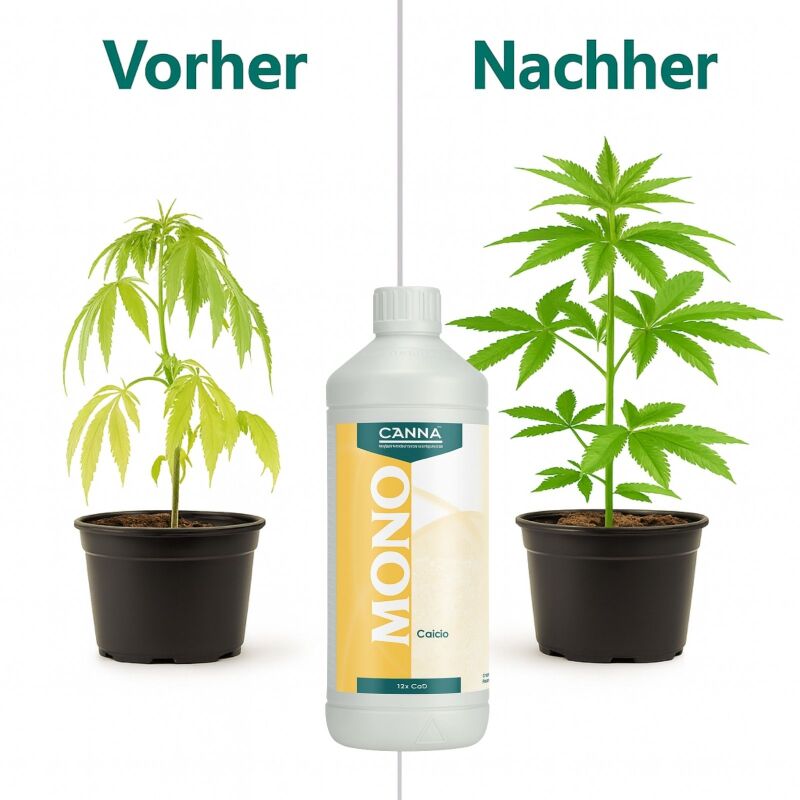 Canna Kalzium 1 Liter – Kalzium Zusatz Pflanzen