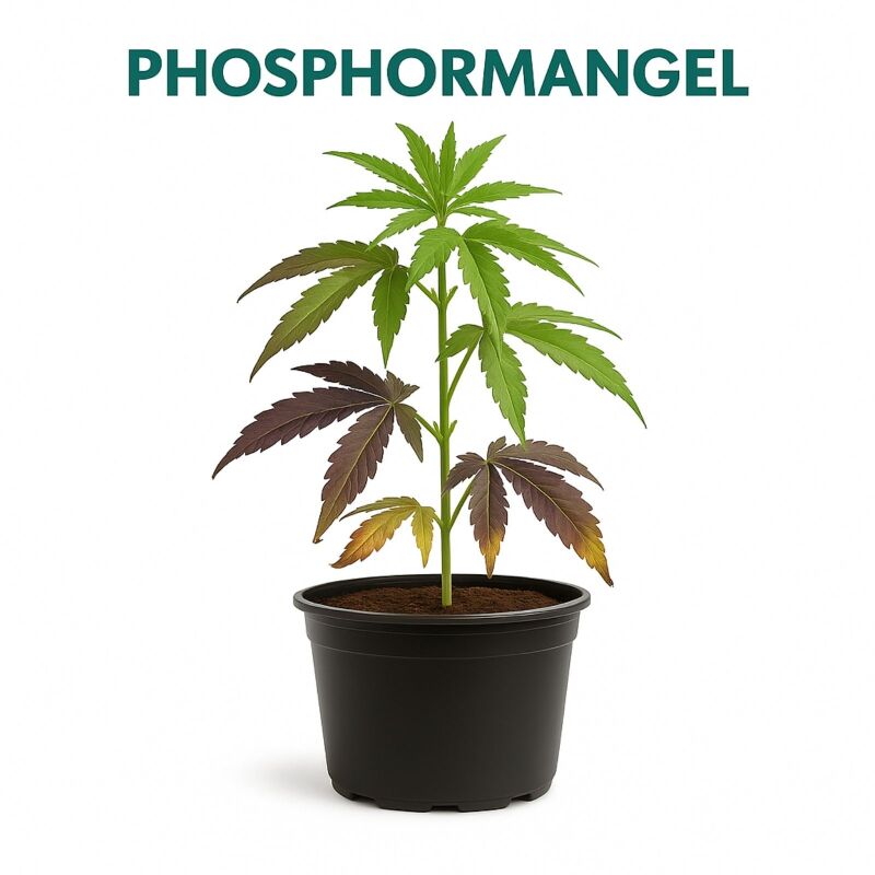 Canna Phosphor 1 Liter – Phosphor Zusatz Pflanzen
