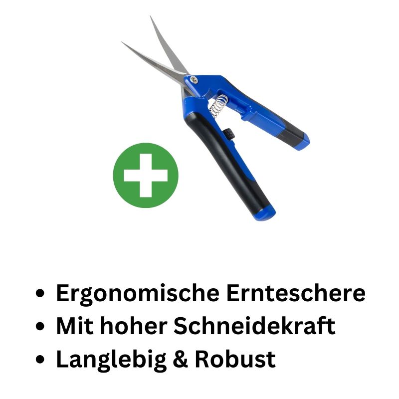 Gartenschere gebogen