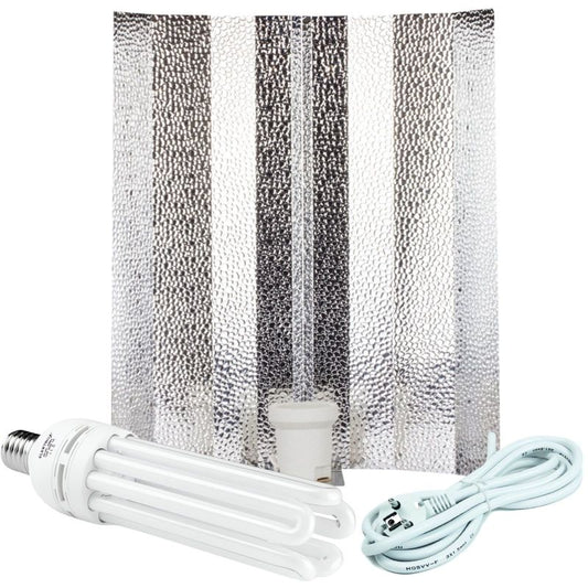 ESL 250 Watt Wuchs Beleuchtungsset