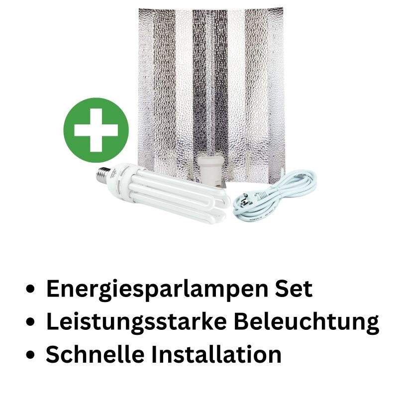 ESL 125 Watt Wuchs Beleuchtungsset