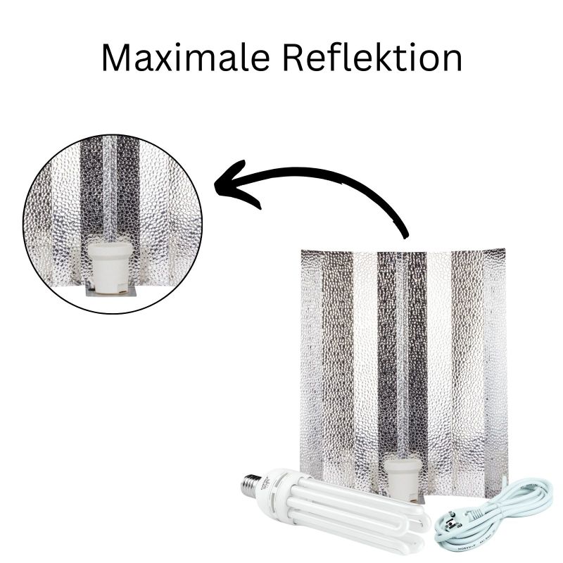 ESL 125 Watt Wuchs Beleuchtungsset