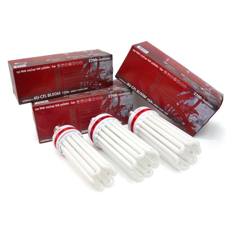 ESL 250 Watt Blüte Beleuchtungsset