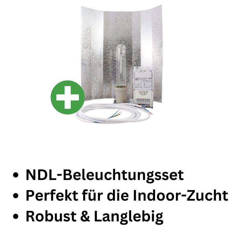 Grow Lampen Set Blüte Basic 150 Watt