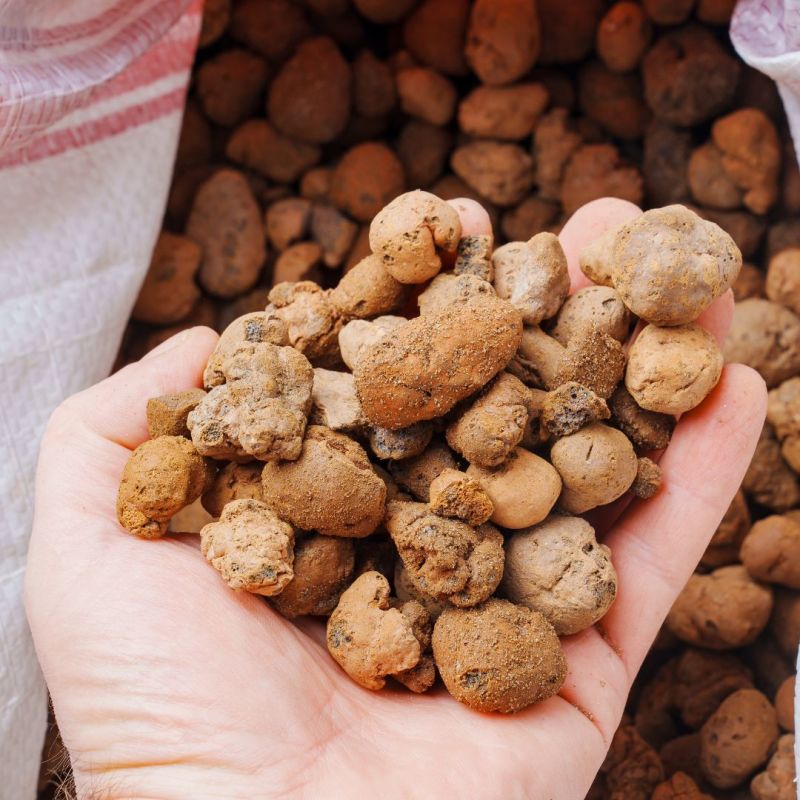 Plagron Euro Pebbles 10 Liter