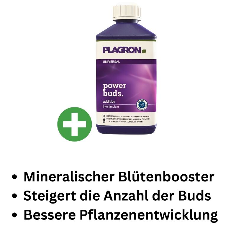 Plagron Power Buds 1 Liter – Blütedünger Pflanzen